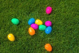 plastic-eggs-on-grass