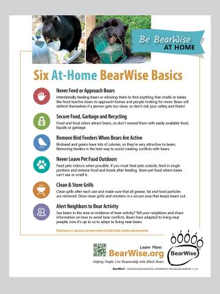 Bear Wise Bulletin