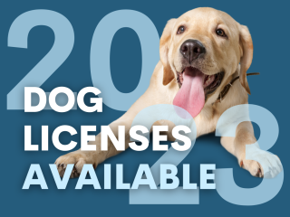 dog-licenses-available-2023