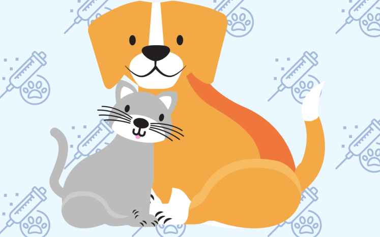 rabies-clinic-post-image-cat-and-dog