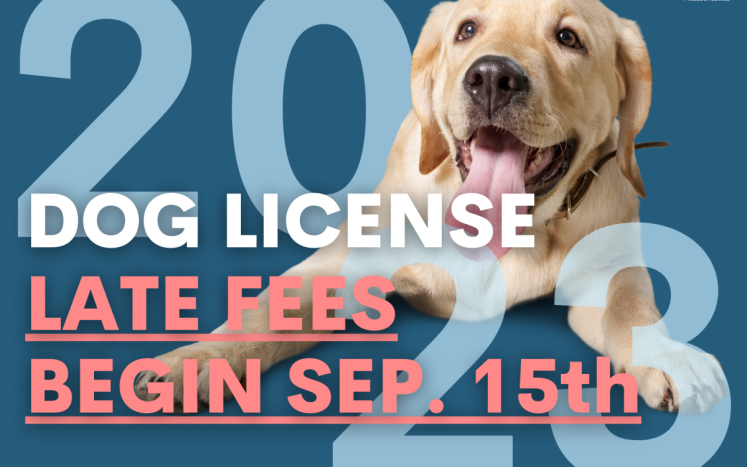 dog-license-late-fees-begin-september-15th
