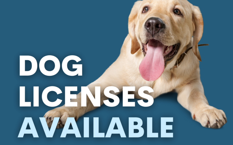 dog-licenses-available